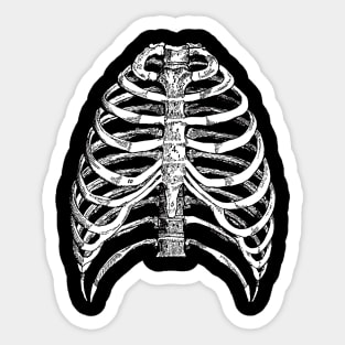 Rib Cage Sticker